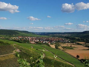 Weinberge Rund um Thüngersheim