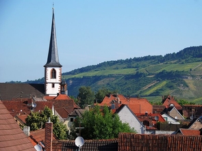 Blick auf Thüngersheim