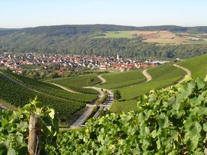 Blick auf Thüngersheim