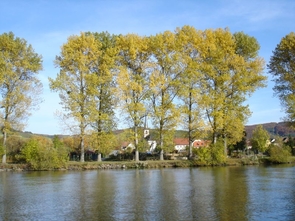 Main mit Blick auf Thüngersheim