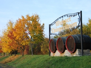 Weinort Thüngersheim