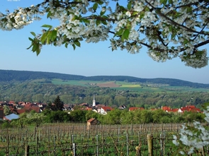 Thüngersheim im Frühling